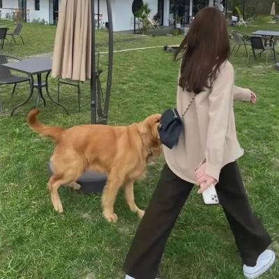 凯特罗根事件