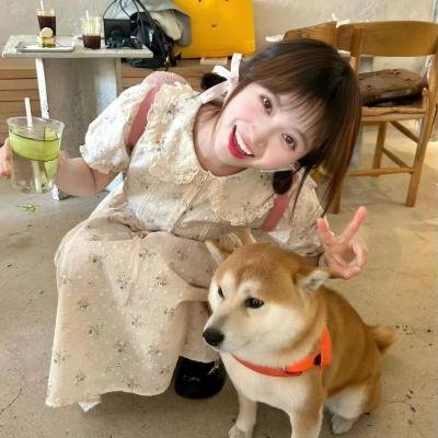 我不恋爱的理由在线观看